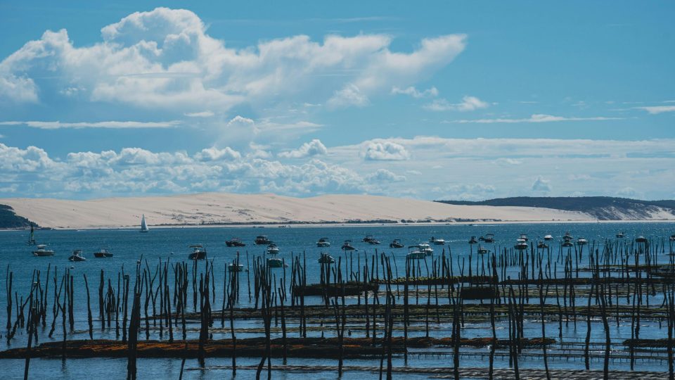 Serene landscape of oyster farms and boats in Arcachon Bay, France under a clear blue sky.